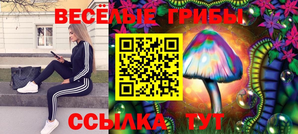 Новороссийск  Галлюциногенные грибы MAGIC MUSHROOMS  Вход с VPN  Галлюциногенные грибы Psilocybe 